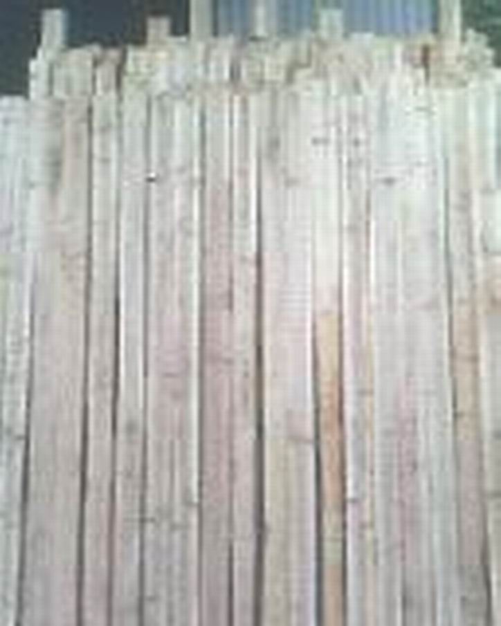 ��~ɼľ�ذ��Ԕ����B