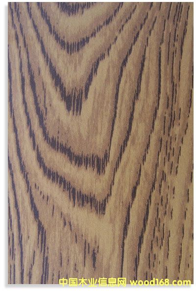 ��ľ��Ԕ����B