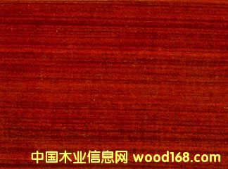 �t̴�㌍(sh��)ľ�ذ��Ԕ��(x��)��B