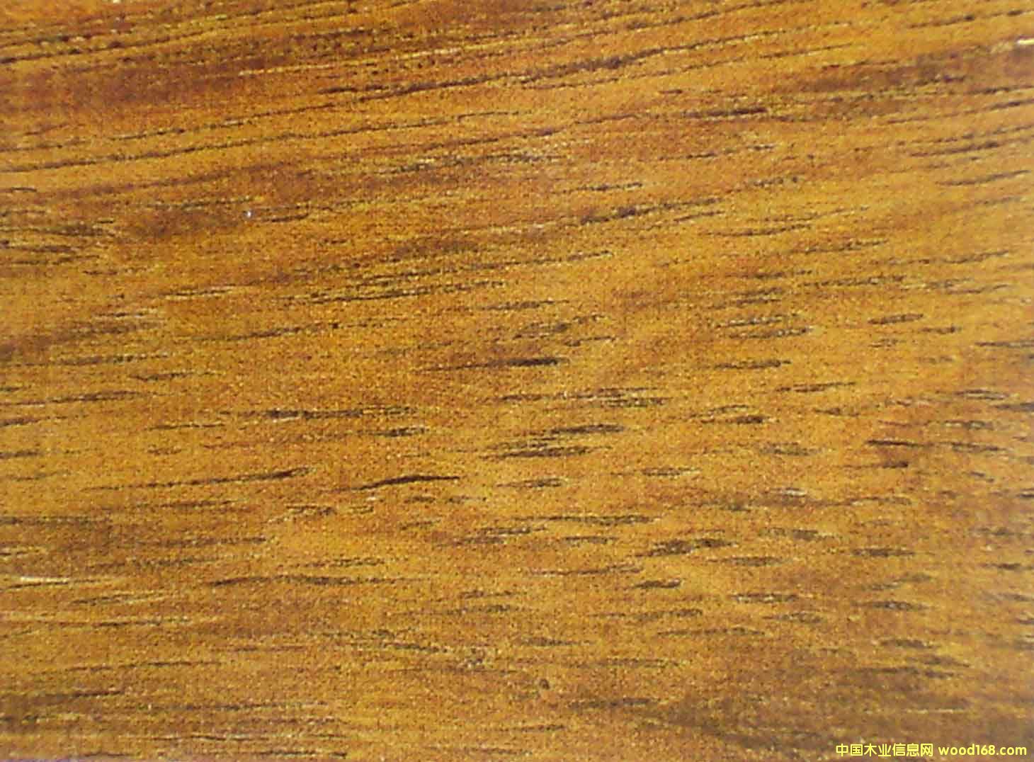 ӡ�Ფ�}���Ԕ��(x��)��B