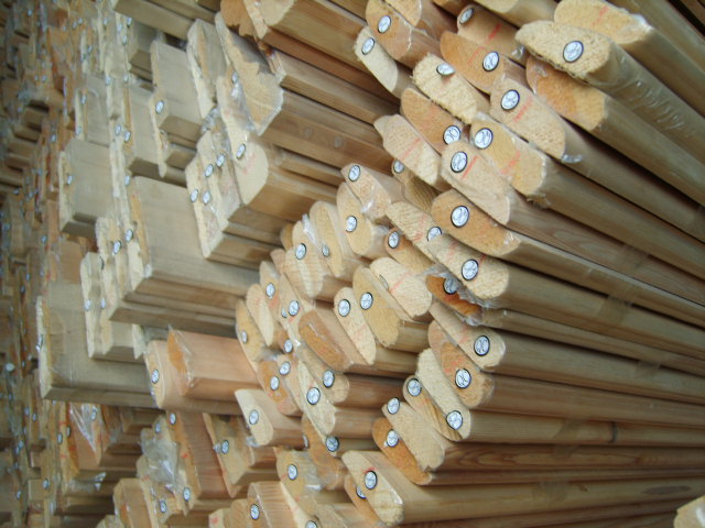 ��ľľ��(1)��Ԕ��(x��)��B