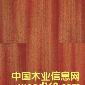 ɳ������(sh��)ľ��(f��)�ϵذ��Ԕ��(x��)��B