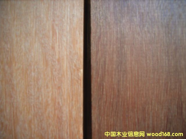 �Ĵ������t�񼯳ɲİ����ɫ��Ԕ����B