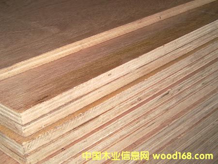 �z�ϰ��D��Ԕ��(x��)��B