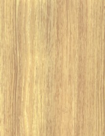 ��ľ��Ԕ��(x��)��B