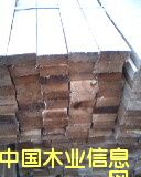 ľ���l��Ԕ����B