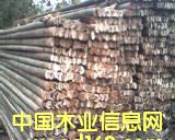 ��ܰ��Ԕ����B