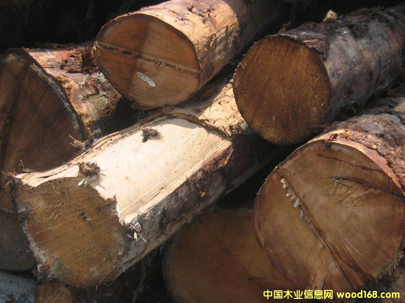 ������ɼԭľ��Ԕ��(x��)��B