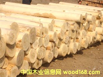 ��ľ��Ԕ����B