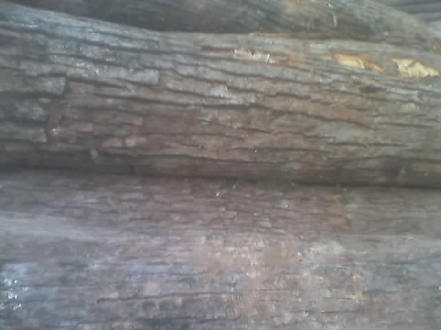 ��ľA��(j��)��Ԕ��(x��)��B