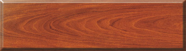 ��̴��Ԕ����B