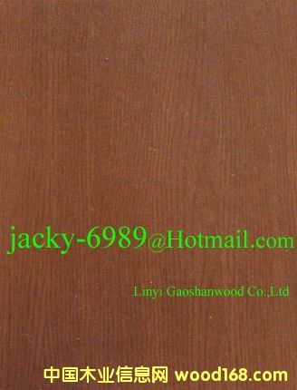 �F��ľ�N����Ԕ����B