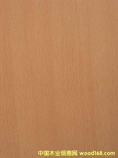 ��ľ��Ԕ����B