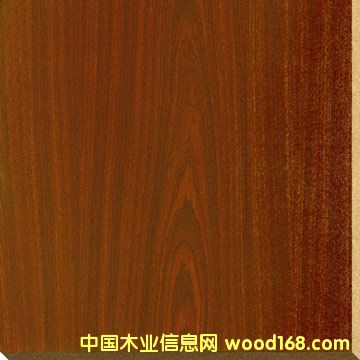 �����谷���w���Ԕ��(x��)��B