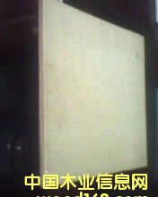 ɼľƴ���Ԕ����B