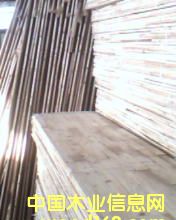 ƴ���Ԕ����B