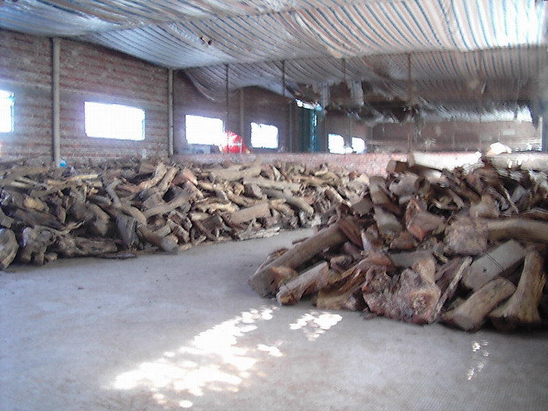 �ϓ��S����ľ��Ԕ��(x��)��B