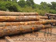 ԭľ��Ԕ��(x��)��B