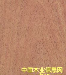 ��ľ��Ƥ��Ԕ��(x��)��B