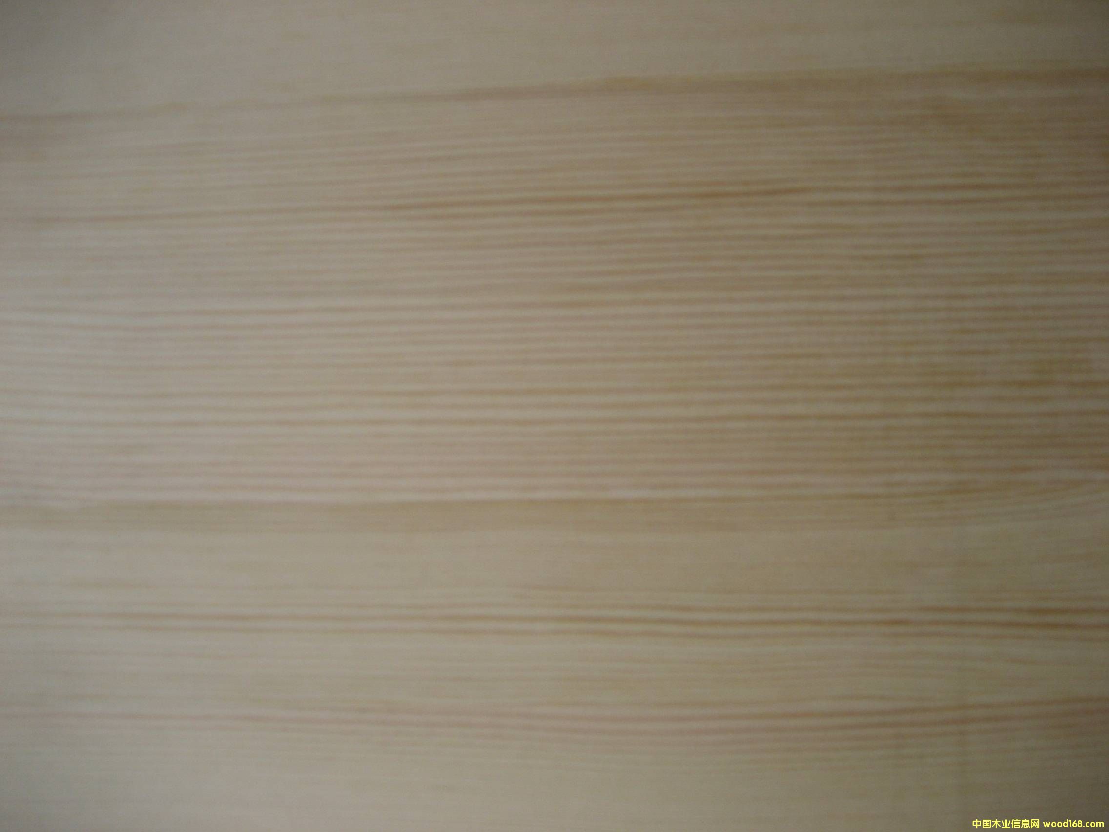 �o��(ji��)ɼľ���ɲĵ�Ԕ����B