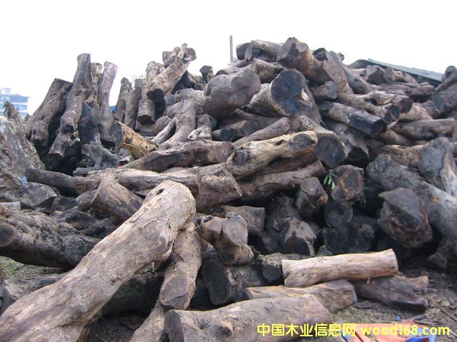 �����u��ľ��Ԕ��(x��)��B