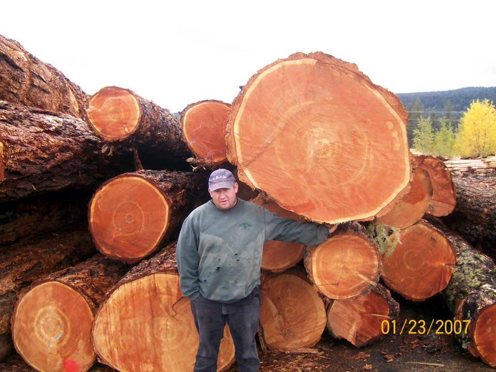 60cm up ���ô�����ԭľ��Ԕ����B