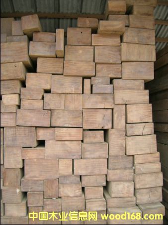 ��ľ��Ԕ����B