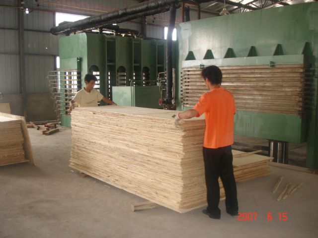 ƽ�кϰ壨LVL�����g����LVL����Ԕ��(x��)��B