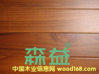 ���錍(sh��)ľ��Ԕ��(x��)��B