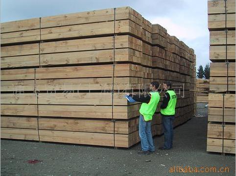 �����mݗ���ɰ��