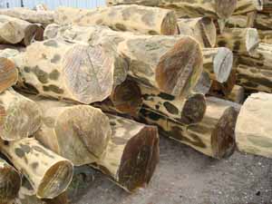 �G̴��Ԕ��(x��)��B