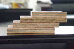 ��ɫ�z�ϰ�,����Ĥ���Ԕ����B