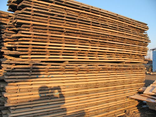 �������Ԕ��(x��)��B