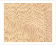 �|�l(w��i)؈��Ԕ����B