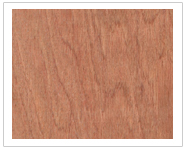 ���ǹ���Ԕ����B