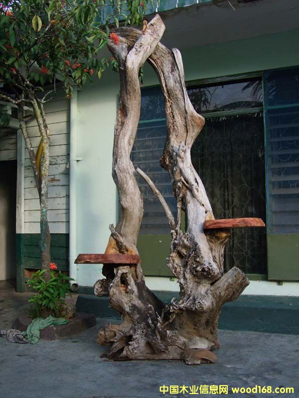 ����1��Ԕ��(x��)��B