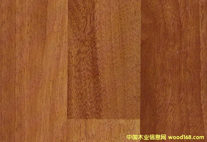 5379��Ԕ��(x��)��B