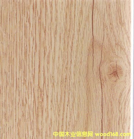 8331��(qi��ng)����(f��)�ϵذ�