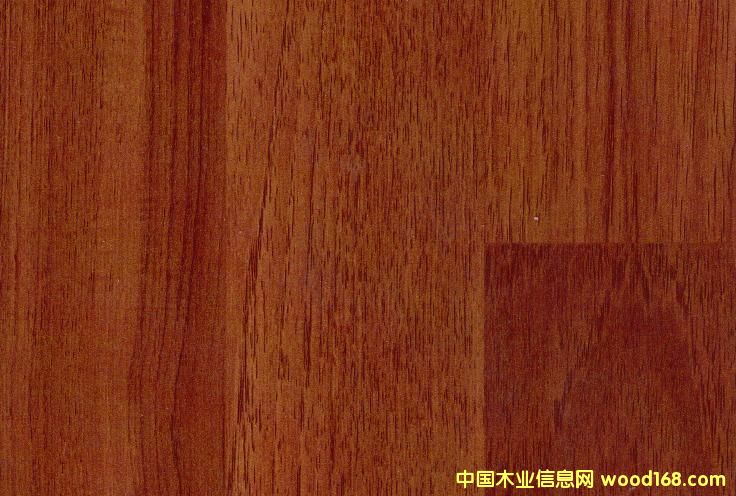 5230��(qi��ng)����(f��)�ϵذ��Ԕ��(x��)��B