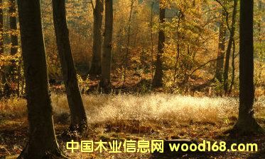 ������(sh��)��ԭ���ϼ���ģ���Ԕ��(x��)��B