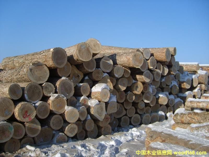 ���_˹����7