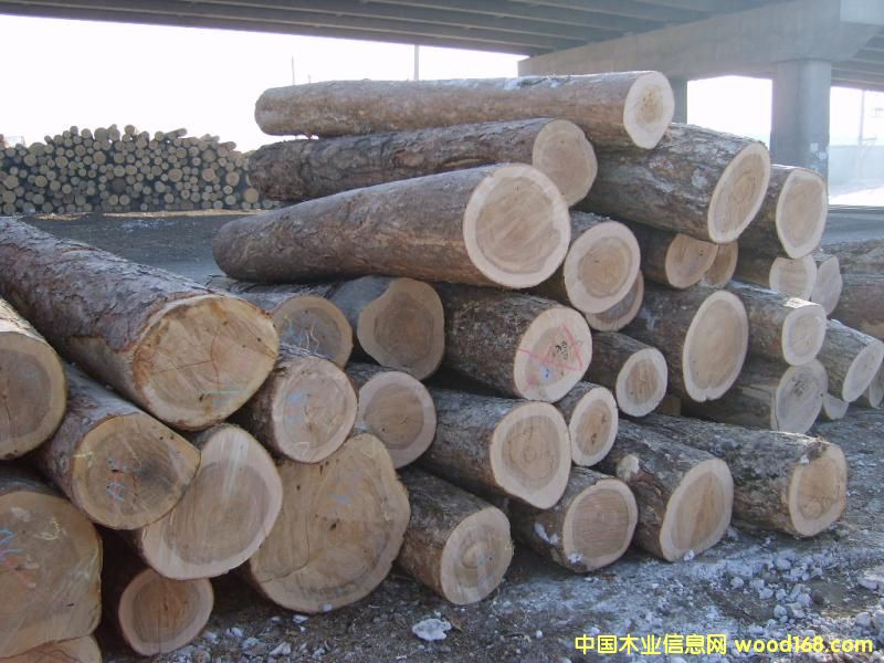 ���_˹����6