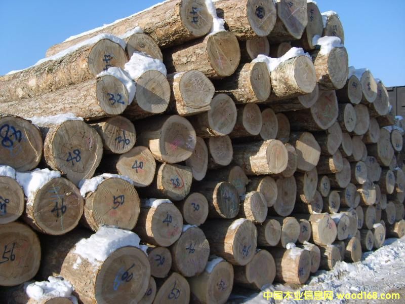 ���_˹����0