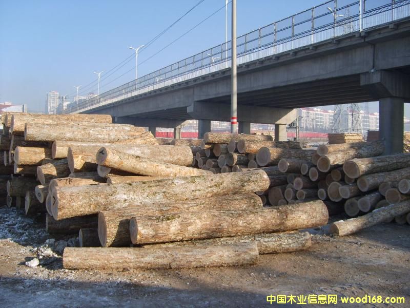 ���_˹����1