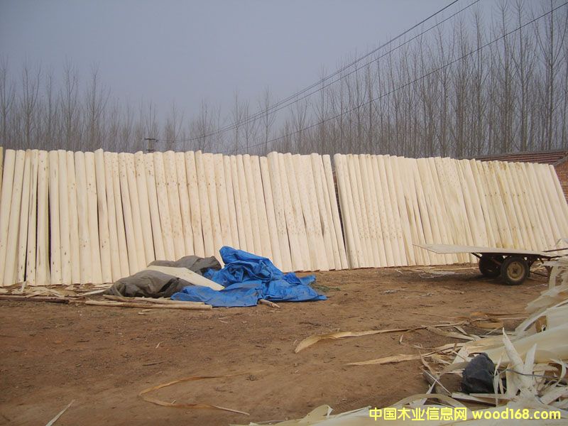 ��ľƤ��Ԕ��(x��)��B