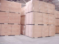 �߼���ľ�����z�ϰ��Ԕ����B