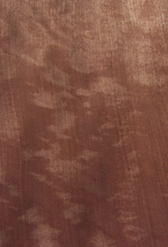 �������Ԕ��(x��)��B