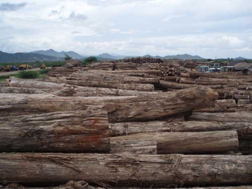 ��ľԭľ��Ԕ����B