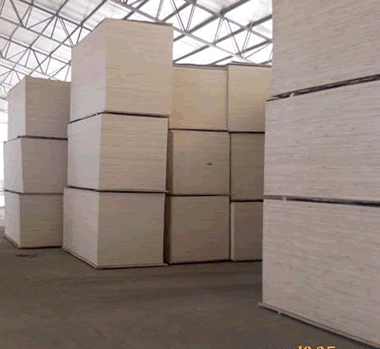 ��ľ�A���Ԕ��(x��)��B