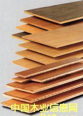 �ذ�ĵ�Ԕ����B